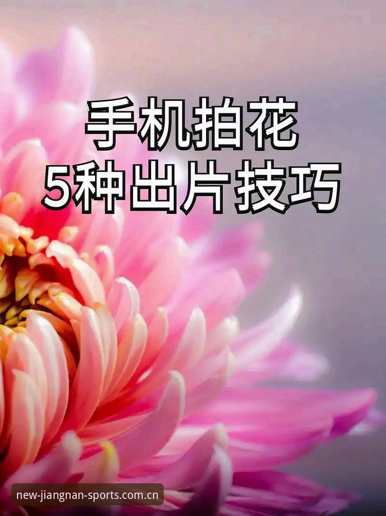 赛季新序章手机版推荐 赛季新序章手机版推荐:从安装到使用的实用技巧全解析